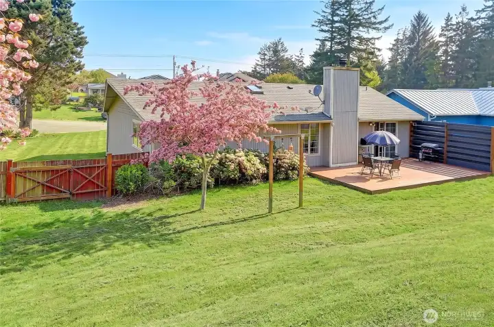 Front Yard Street View