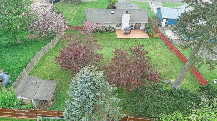 Back Yard Aerial View