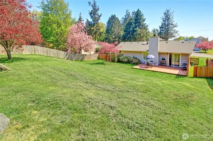 Fully Fenced Back Yard