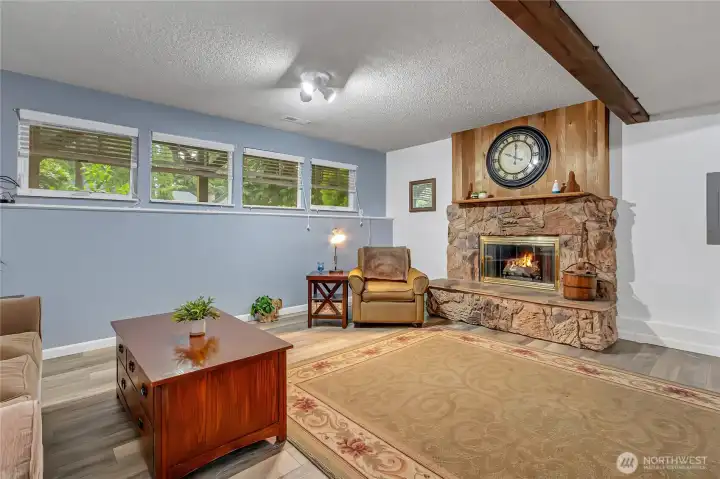 Oversized family room downstairs with gas insert.