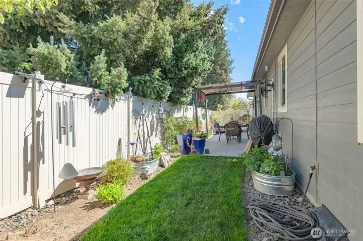 Backyard with lots of perennials to enjoy