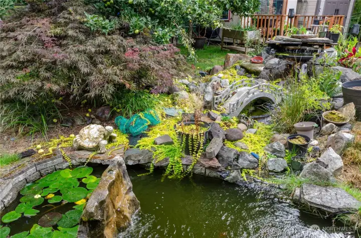 WATER FEATURE