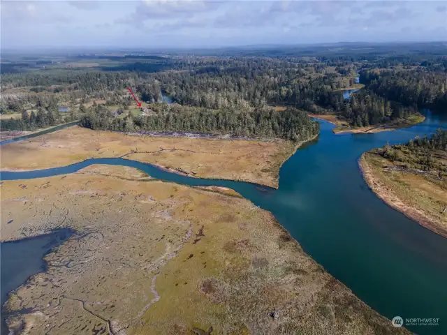 a five acre homestead surrounded by preserved land . Humptulips river to the bay, Cambell slough to the bay ..bay to the Ocean ! One in a million property and One of a kind large home