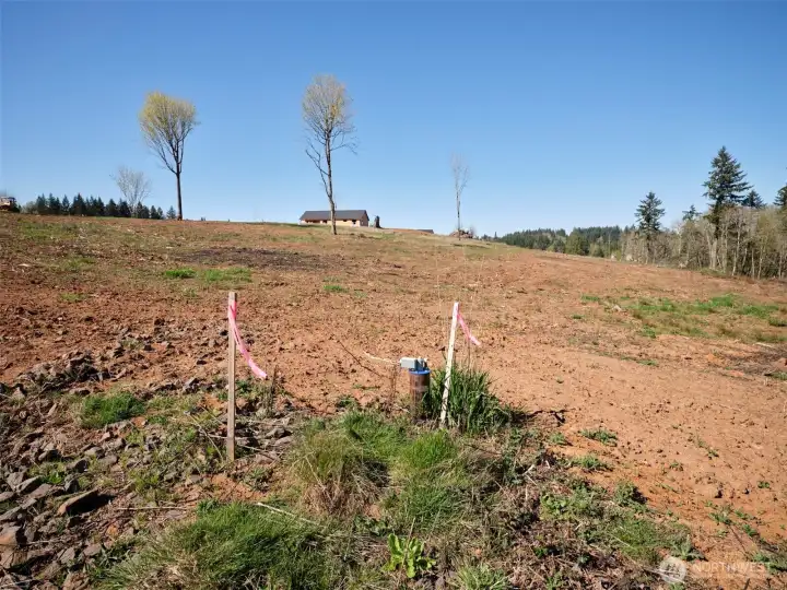 Individual Well