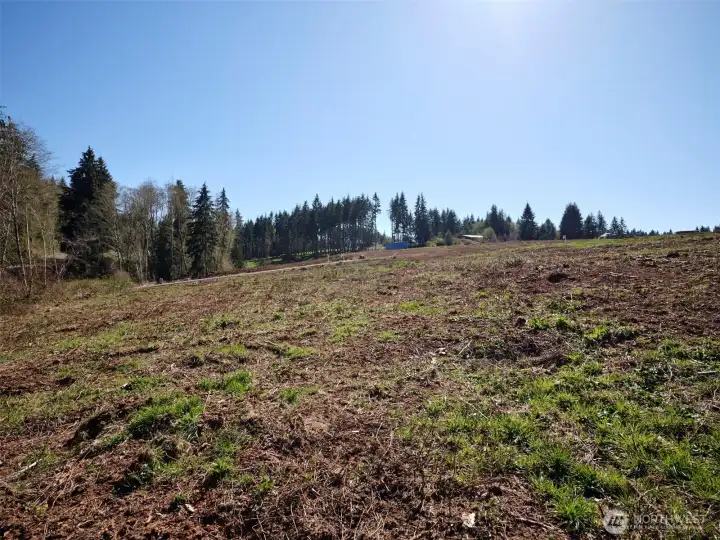 Acreage