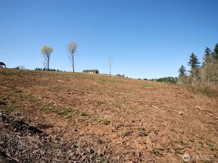 Acreage