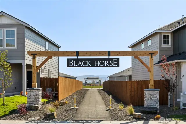 Welcome to Black Horse