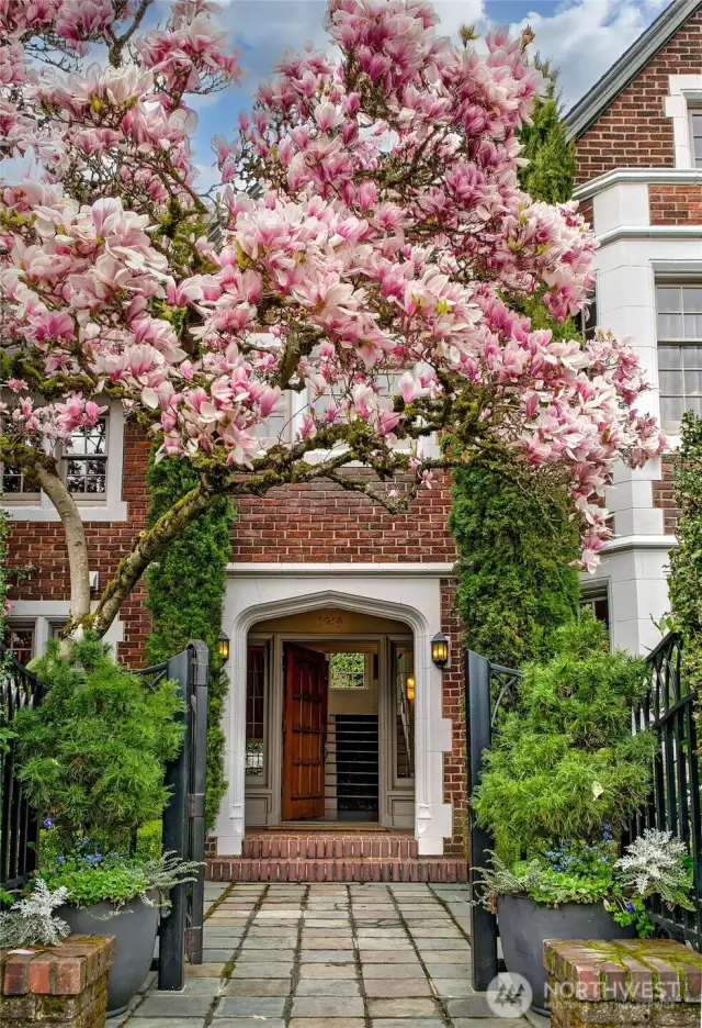 A threshold framed by magnolia bloom and ivy-clad brick, the entry vestibule welcomes with grace and grandeur. This is no ordinary arrival—it’s an invitation into a home where century-old legacy meets a lushly reimagined life.