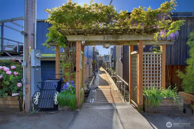 The arbor dances with climbing flowers to welcome you home.