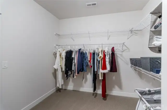 Massive walk-in closet.