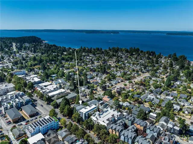 Lincoln Park and Fauntleroy Ferry terminal nearby.