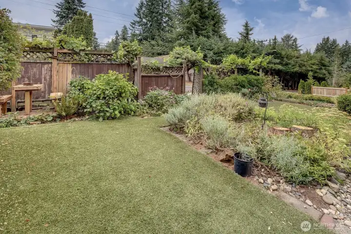 South exposure English-inspired garden with artificial grass.