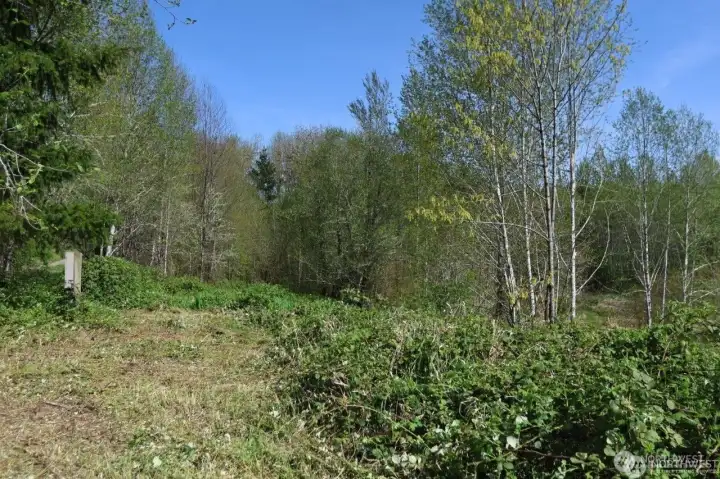 Old meter base and location of former RV site