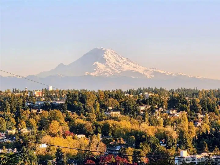 The Star of the Show!