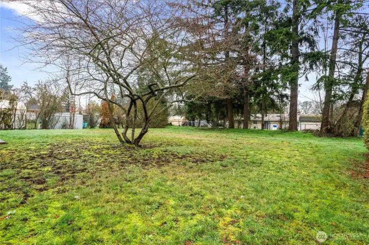 There's plenty of space to spread out and have some backyard fun!