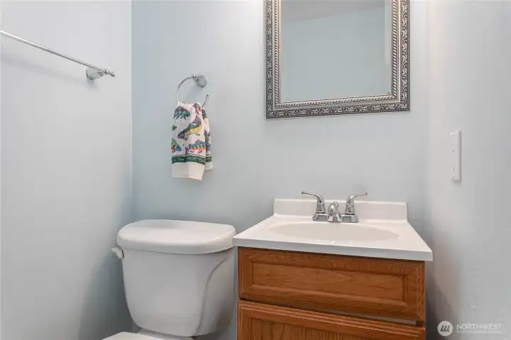 Lower level bathroom