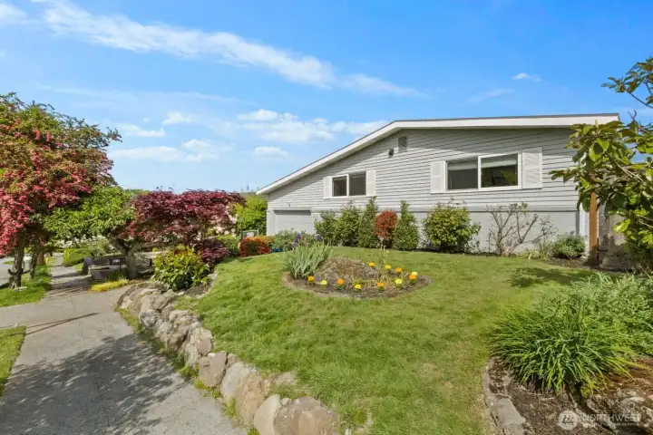 Mature front yard.