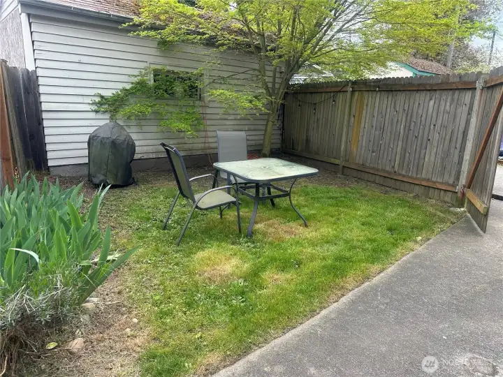 Backyard