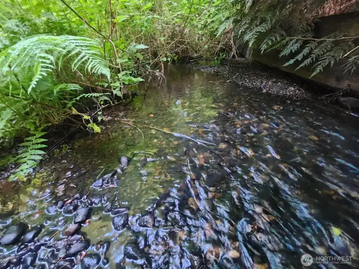 on property creek