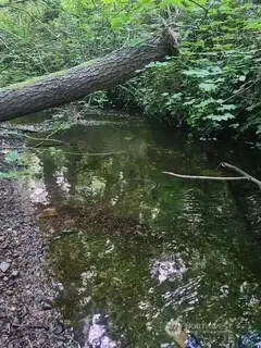 Creek with natural water fall