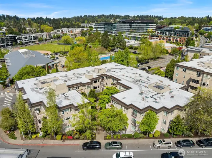 Plaza on State facing northeast toward Kirkland Library; Kirkland Urban; and, Peter Kirk Park featuring Lee Johnson Field, tennis courts, playground and community pools.  For work, shopping and dining, Kirkland Urban is home to Google, QFC, Shake Shack, and Dough Zone.  For recreation, practice your swing at Five Iron Golf or participate in a friendly trivia competition at Chainline Brewing.  To rejuvenate, pamper yourself and look your best, try Restore Hyper Wellness, Salon Republic, and Zode Nail Bar.
