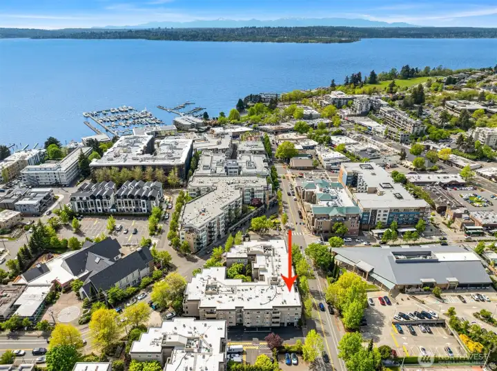 This aerial shows proximity to Lake Washington, Marina Park, Park Lane, and Library.
