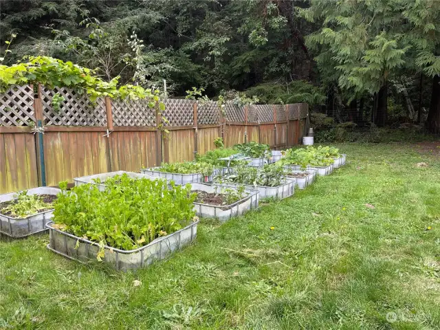 Very nice garden with raised beds