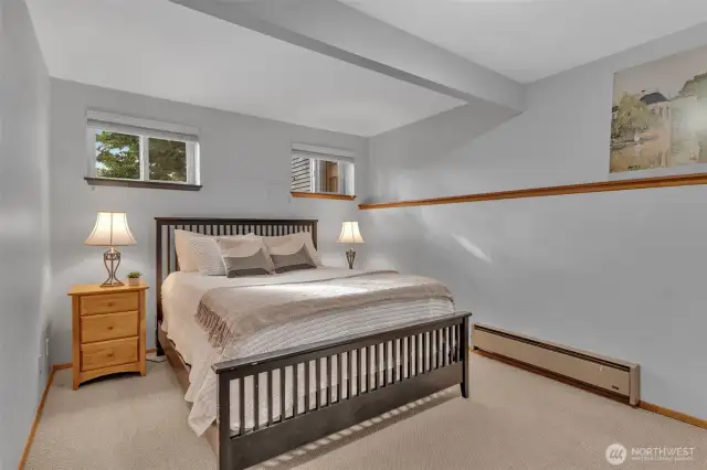 5th bedroom on the lower level with west facing windows and a walk in closet.
