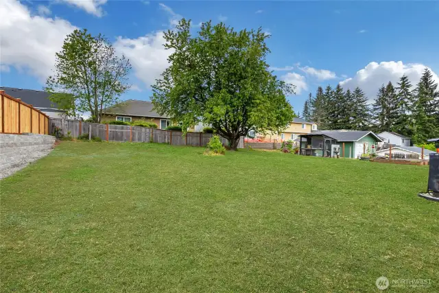 Huge backyard! Fence will be finished soon.