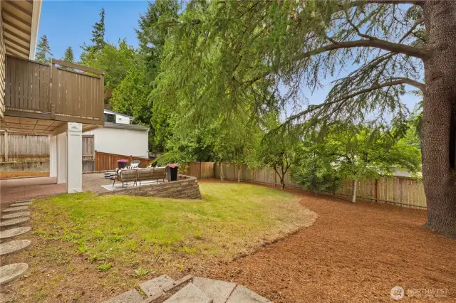 Fabulous park like backyard complete with fruit trees + shed