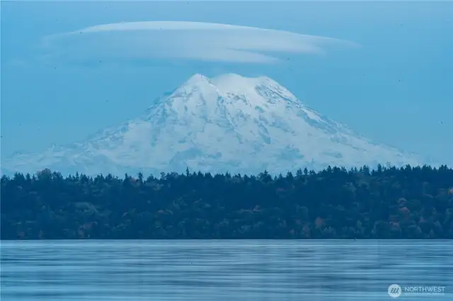 What a treat to have this view on your walk throughout this neighborhood!