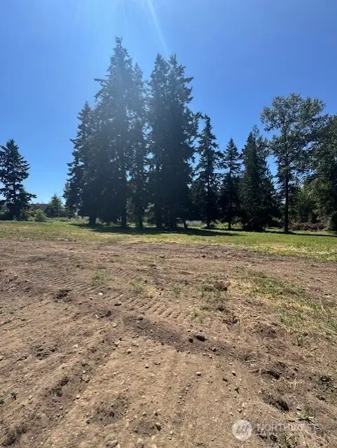 Blank canvas