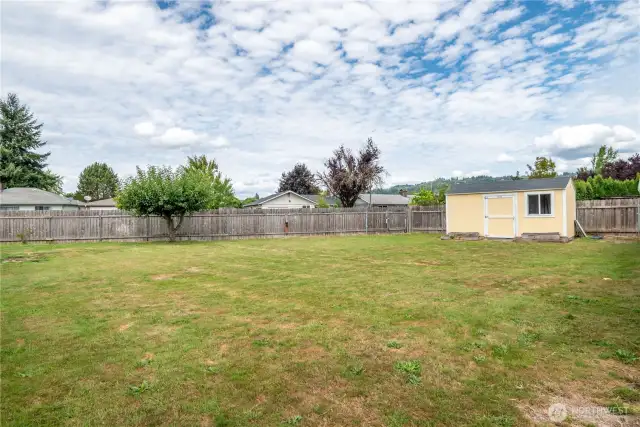 Large Backyard