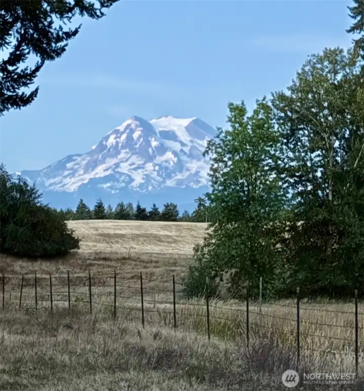 Mount Rainier