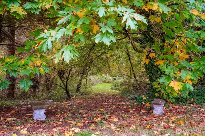 Your Gateway to Your Land; Trails Meander through Timber~