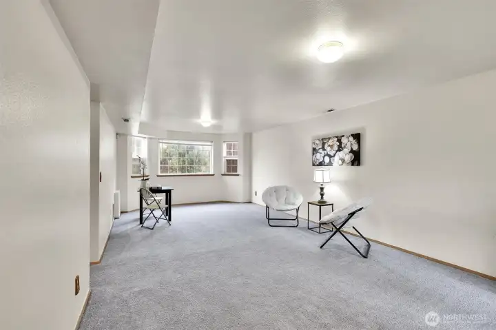 Extra large rec room