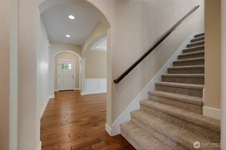 BRAND NEW PLUSH CARPET