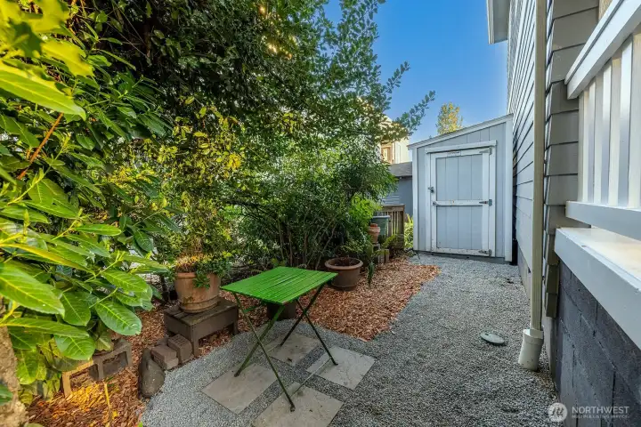 Shared Patio