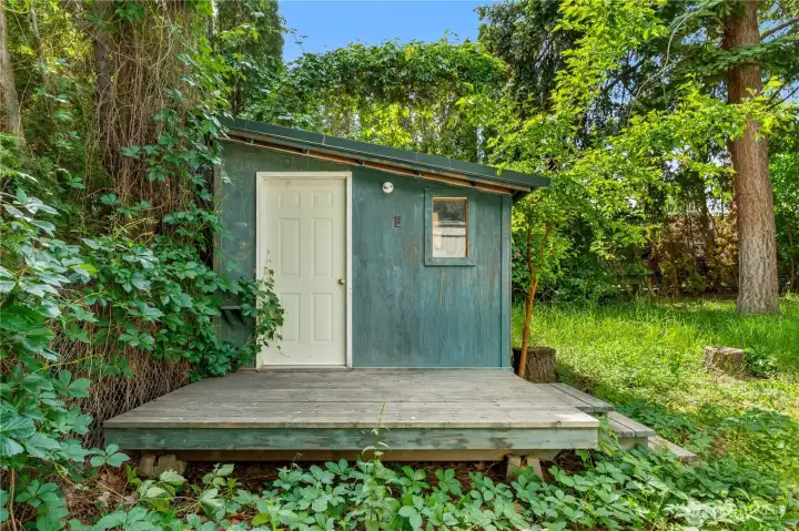 Shed Shed