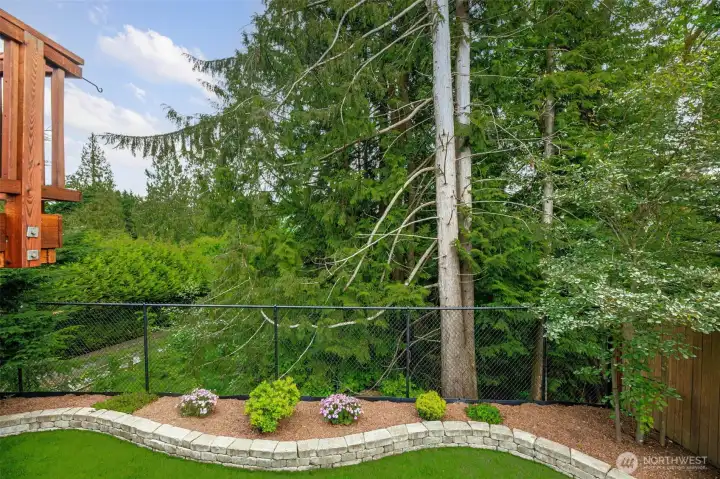 Private backyard.