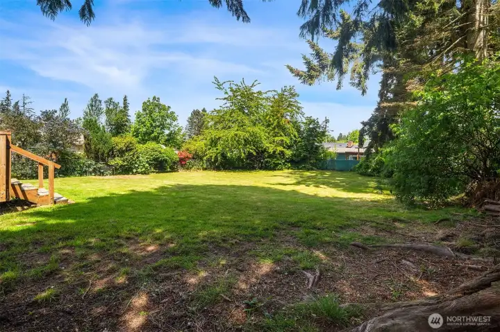 Spacious backyard.