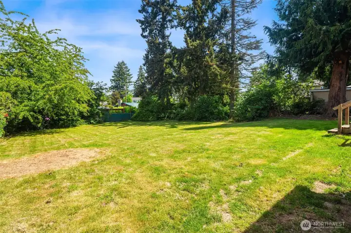 Spacious backyard.