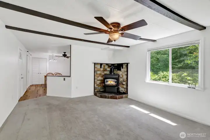 Living room filled with natural light and centered around the propane fireplace.