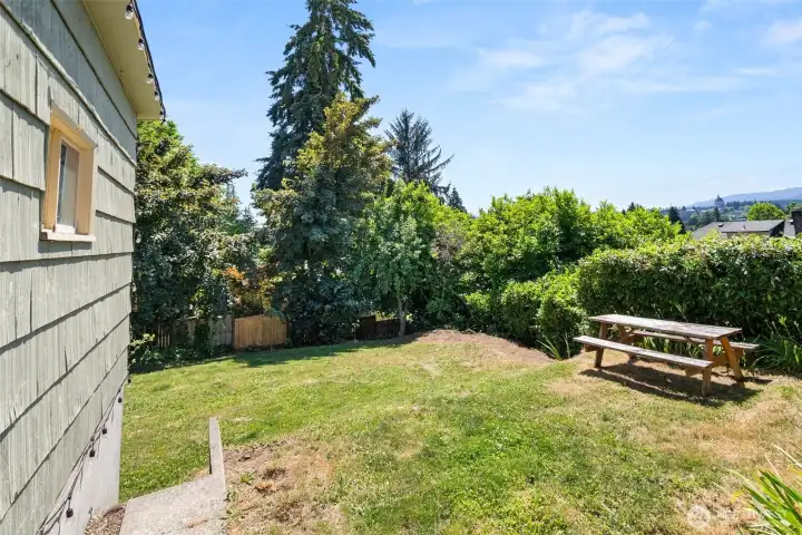 Huge backyard.