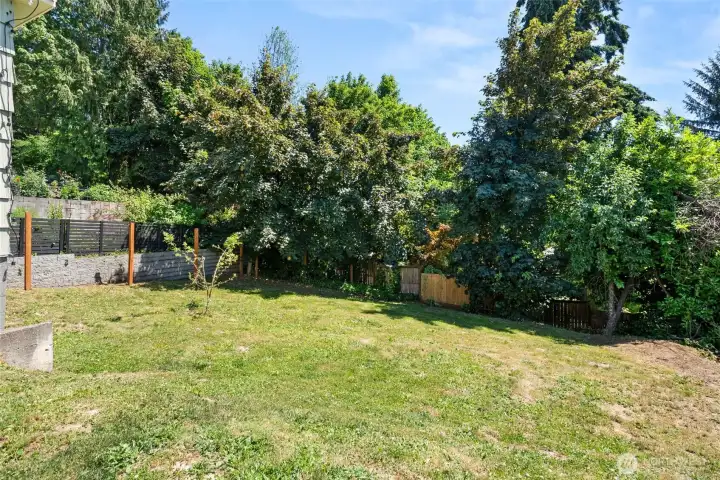 Fruit Trees and space to entertain.