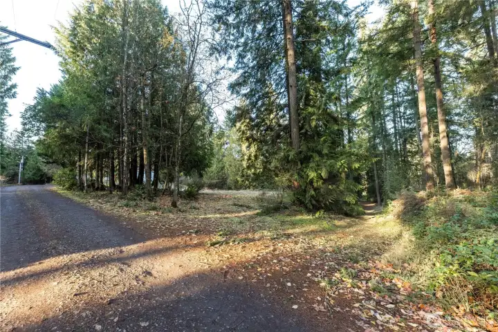 Lower Driveway/access to property