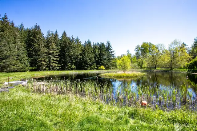 Amazing panoramic hand dug pond complete with bass, perch, and trout for your fishing adventures.