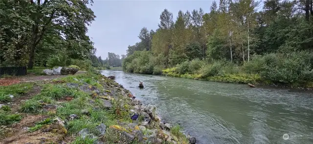 Another view of the Nisqually River near the property.
