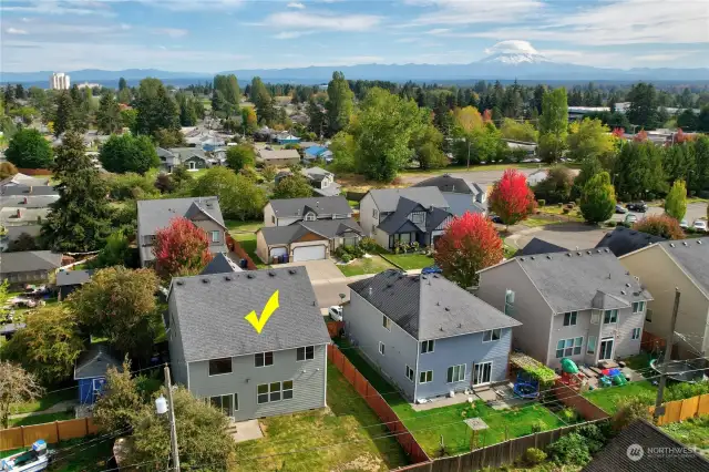 Aerial Back with Mt Rainier