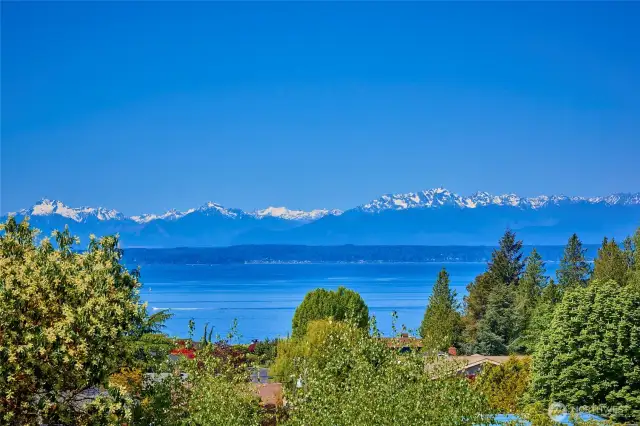 Views from deck.